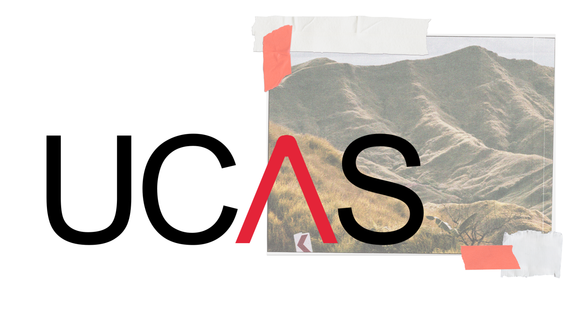 Supporting a 10 year content strategy