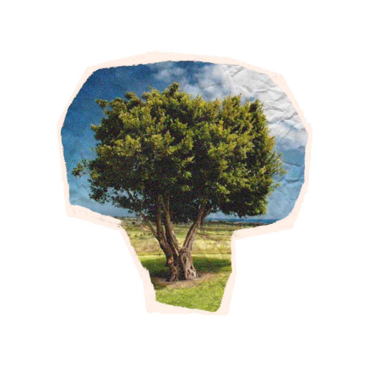 How to art-direct your copywriting